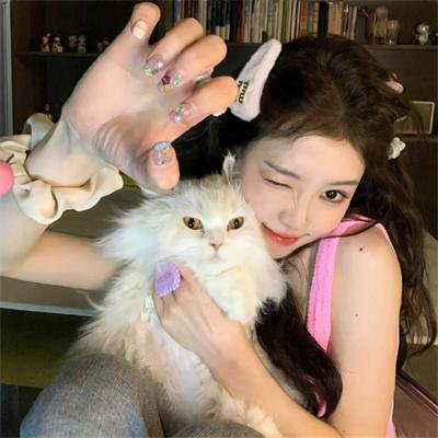 三大怪兽美食家